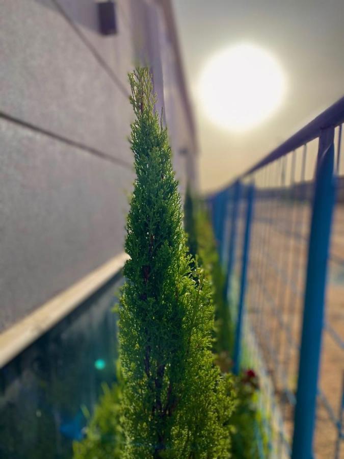 Taif Promise Villa Kültér fotó